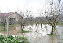 Kuşadası’nda sağanak etkili oldu; evlerin bahçeleri ve tarım arazileri su altında kaldı