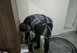 Aydın merkezli 6 ilde vize dolandırıcılığı operasyonu: 12 tutuklama