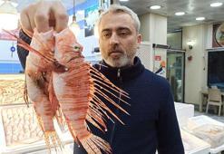 Tezgahta satışı yasak olan aslan balığının özel müşterisi var