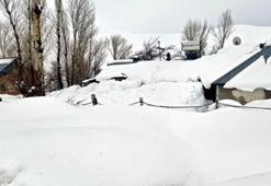 Van’da 76 yerleşim yerinin yolu kapandı; kırsal mahallede evler kara gömüldü