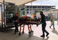 Budadığı ceviz ağacından düşüp yaralandı