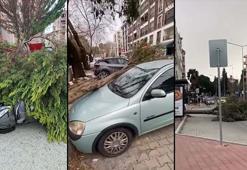 Çanakkale'de fırtınada ağaçlar devrildi, balkon duvarı yıkıldı