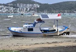 Bodrum’da fırtına etkili oldu ağaçlar devrildi, tekne karaya oturdu