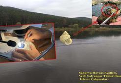 Marmara Bölgesi'nde erken kirliliğin göstergesi olan canlılar araştırılıyor