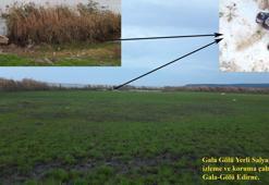 Marmara Bölgesi'nde erken kirliliğin göstergesi olan canlılar araştırılıyor