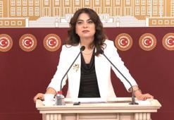 DEM Parti'li Koçyiğit: Türkiye'nin geleceği için rapor önemli bir eşik olacak