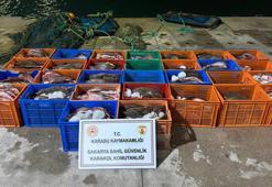 Ülkeye kaçak getirilen 300 kalkan balığı ele geçirildi