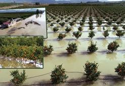 'Tarım arazileri su altında kalan Adana'da hasatlar 45 gün gecikecek'