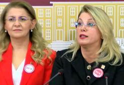 CHP'li Kaya: İktidarda olan anlayış, Cumhuriyet devrimleri ile hesaplaşma peşindedir