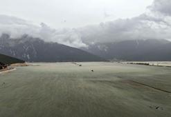 Hayvanların otladığı Avlan Gölü'nde su sevinci