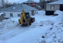 Başkale'de kar yağışı etkili oldu