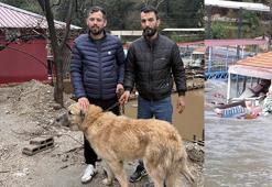 Paşa'yı canı pahasına korudu, akıntıya kapılmaktan son anda kurtardı