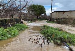 Manisa'da dereler taştı; tarım arazileri su altında kaldı
