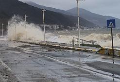 Yalova'da fırtına; deniz taştı, balıkçı barınakları zarar gördü