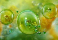 Deniz ürünlerinde zehirlenme riski: 'Bilinçli tüketim şart'