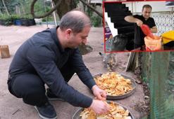 Babadan kalan 'anlamlı miras'; lokantada artan yiyecekleri sokak kedilerine götürüyor