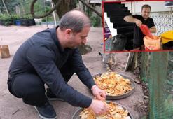 Babadan kalan 'anlamlı miras'; lokantada artan yiyecekleri sokak kedilerine götürüyor