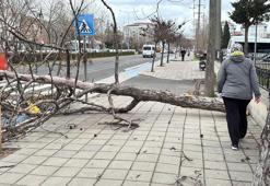Edirne ve Kırklareli için 'fırtına' uyarısı