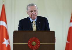 Cumhurbaşkanı Erdoğan: Türkiye sınırları ve sınırların ötesinde her türlü adımı atmaktadır