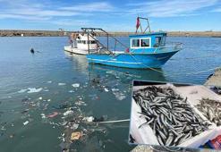 'Zonguldak'ta balık sezonu kötü geçiyor'