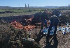 Çorum'da 180 litre kaçak alkol imha edildi