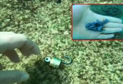 Denizden 'büyü malzemesi' çıkarıyor