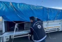 Hayvan dışkısı ile kamufle edilen bölmeden 19 kaçak göçmen çıktı