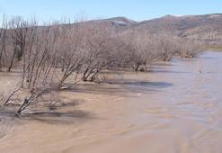 Kızılırmak taştı; köy yolu ulaşıma kapandı