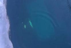 Rusya'da Baykal Gölü'nde tur aracı buzun altına düştü: 8 ölü