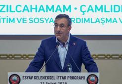 Cevdet Yılmaz: Hem güçlü olacağız, hem haklı olacağız