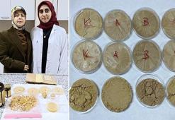 Vegan sporcular için ceviz temelli protein tozu geliştirdiler