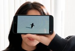 'Nihilist penguen'e kendi yalnızlığımızı yükledik'