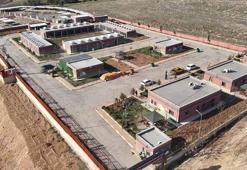 Şanlıurfa'da 27 bin sokak köpeği, bakımevlerine götürüldü