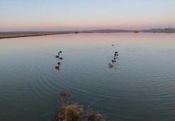 Edirne’de yasa dışı avlanan 4 avcıya 762 bin lira ceza