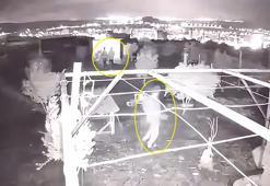 Osmaniye’de güvercin hırsızlığı kamerada