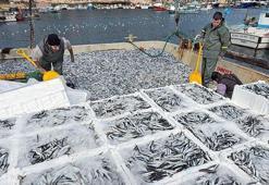 Kırklarelili balıkçılar, Karadeniz'de 6 saatte 30 ton hamsi avladı