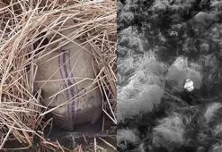 Yasa dışı avcılık yapan 13 kişiye idari işlem