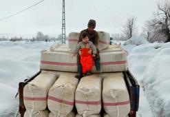Evlenip Tunceli’ye yerleşti, köy hayatına 2 yaşındaki oğlu Güneş'i de alıştırıyor
