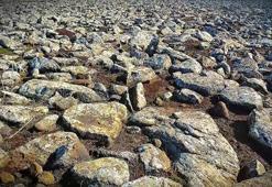 Şanlıurfa’da volkanik bazalt taşlarının altında cephanelik ele geçirildi: 8 gözaltı