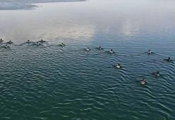 Nazik Gölü'nün buz tabakası çözüldü; yabani ördekler suya döndü