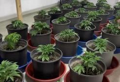 Maltepe'de uyuşturucu ticareti yapan 3 şüpheli yakalandı