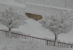 Hakkari'de 210 yerleşim yeri yolu kapandı; araçlar kara gömüldü