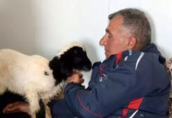 Annesi ölen 20 günlük kuzuyu evinde biberonla besliyor