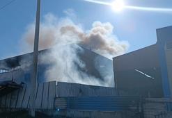 İzmir'de geri dönüşüm fabrikasında yangın