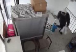 Kadıköy’de iş yerinden laptop hırsızlığı kamerada