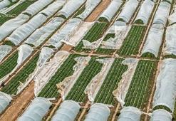 Antalya'da fırtına, hortum ve sel felaketinin faturası 3 milyar TL