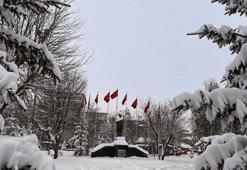 Ardahan'da 89 köy yolu kardan kapandı