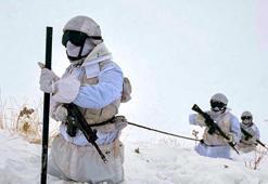 Mehmetçik, zorlu kış şartlarında görev başında