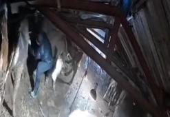 Karın çatısını çökerttiği ahırdaki hayvanları birer birer kurtardılar