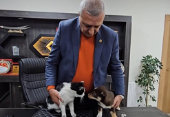 Başkanın makamı Mia ve Fındık’ın yuvası oldu